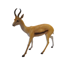 Antilope