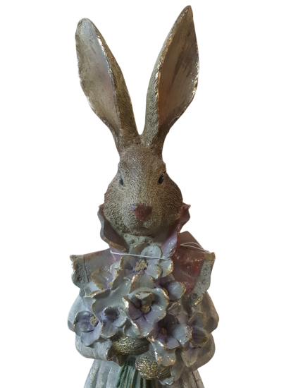 Haas dame clayre & Eef