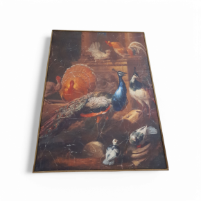 Pauwen op canvas in Lijst