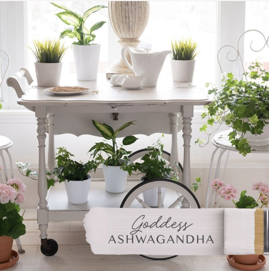 Fushion Goddes Ashwaganha 500 ML