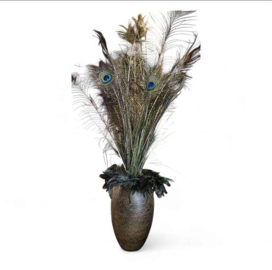 Vaas met pauweveren